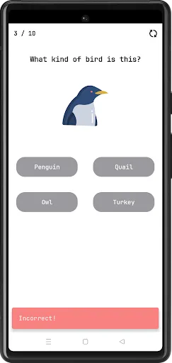 Birds Quiz screenshot 5