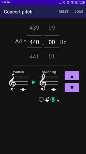 CarlTune - Chromatic Tuner screenshot 4