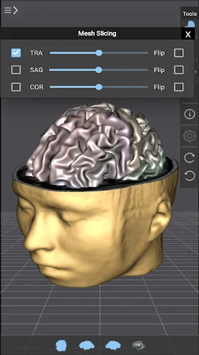Brain Tutor 3D screenshot 1