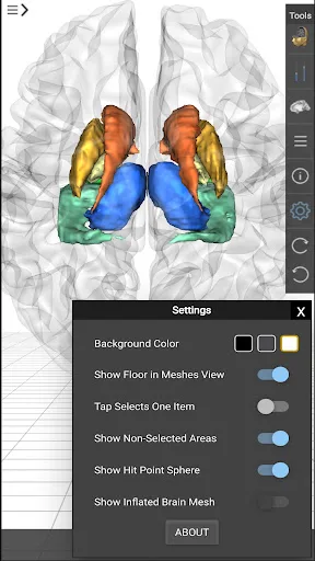 Brain Tutor 3D screenshot 2
