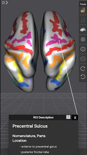 Brain Tutor 3D screenshot 3