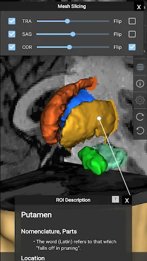 Brain Tutor 3D screenshot 4