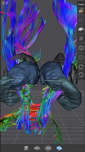 Brain Tutor 3D screenshot 5