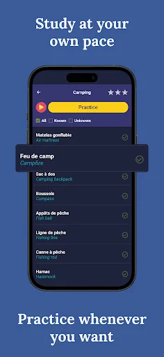 Learn French - Beginners screenshot 3