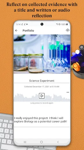 Brightspace Portfolio screenshot 2