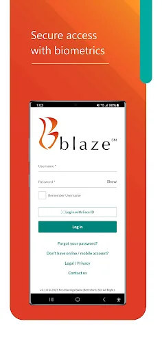 Blaze Mastercard Mobile screenshot 3