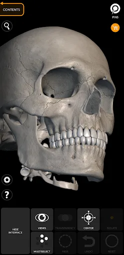 Skeleton | 3D Anatomy screenshot 4