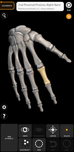 Skeleton | 3D Anatomy screenshot 5