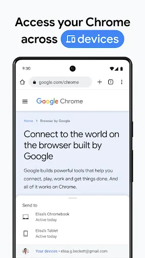 Chrome Dev screenshot 5