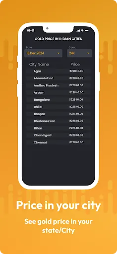 Gold Calculator screenshot 5