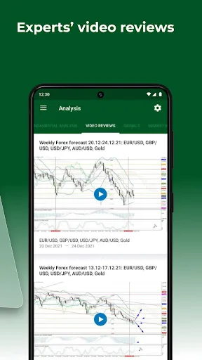 Forex fundamental analysis screenshot 3