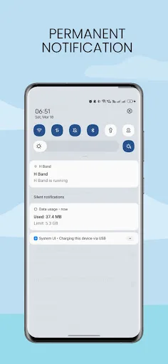 Data Usage screenshot 2