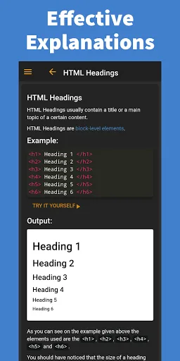 Learn HTML - Pro screenshot 2