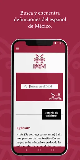 DEM screenshot 1