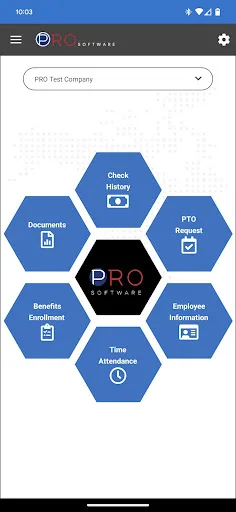 PRO Software screenshot 2