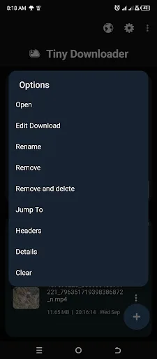 Tiny Download Manager screenshot 3