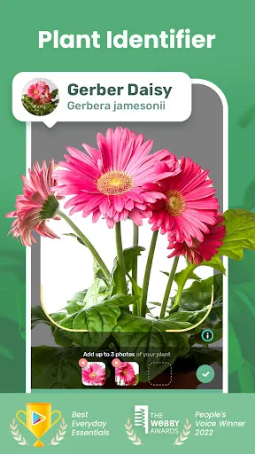 Blossom - Plant Identifier screenshot 1