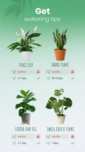 Blossom - Plant Identifier screenshot 4