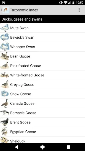 eGuide to British Birds screenshot 2