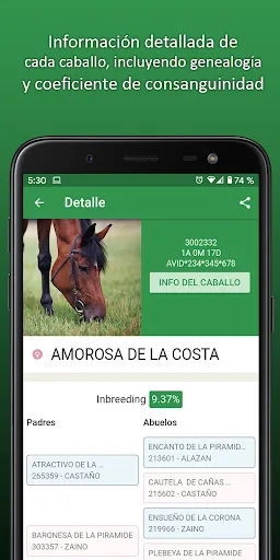 CRIO ONLINE - Horse & Barn Man screenshot 2