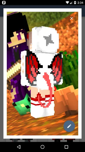 HD Skins Editor for Minecraft screenshot 5