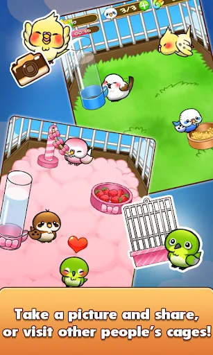 Bird Life screenshot 5