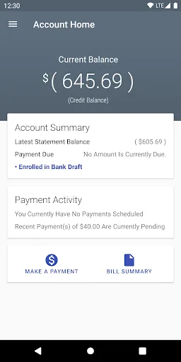 Lenoir City Utility Board screenshot 1