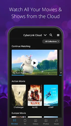 CyberLink PowerPlayer screenshot 2