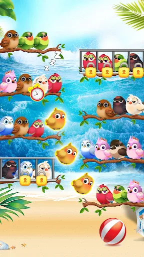 Bird Sorting Mania screenshot 4