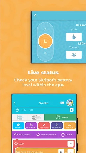 SkriApp: learn programming screenshot 3