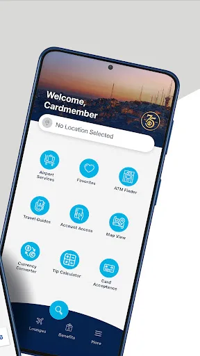 Diners Club International screenshot 2