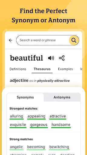 Dictionary.com: English Words screenshot 3