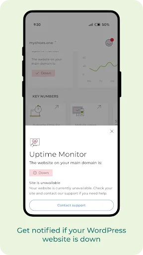 one.com Companion screenshot 5