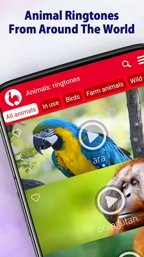 Animal Ringtones screenshot 1