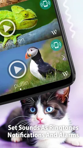 Animal Ringtones screenshot 4