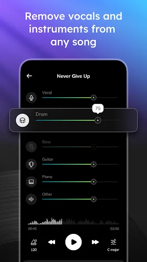 Vocal Remover - Musiclab screenshot 3