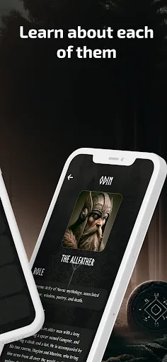 Way of The Runes: Norse rune screenshot 4