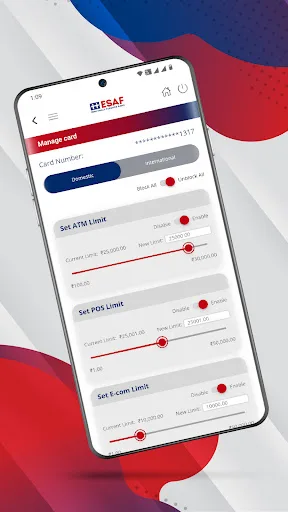 ESAF Bank screenshot 4
