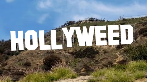 Hollywood Sign Generator screenshot 1