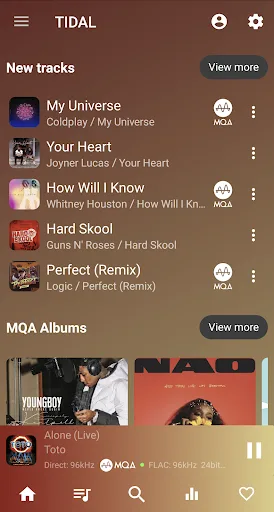 USB Audio Player PRO screenshot 5