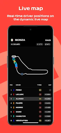 P1 Telemetry screenshot 2