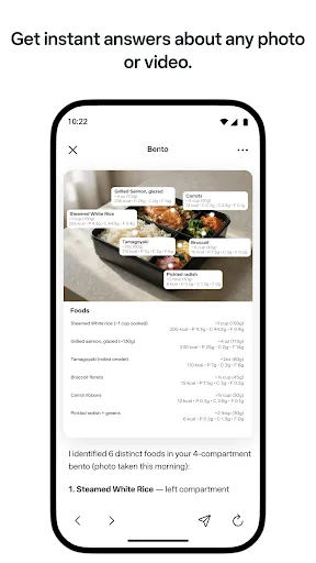 Meta AI - Assistant & Glasses screenshot 4