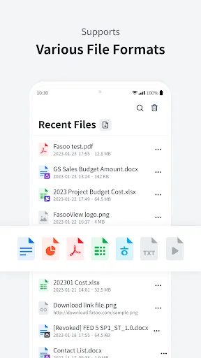 Fasoo View screenshot 4