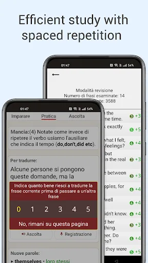 Learn English from scratch screenshot 3