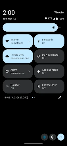 Private DNS Quick Setting screenshot 4