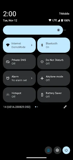 Private DNS Quick Setting screenshot 5