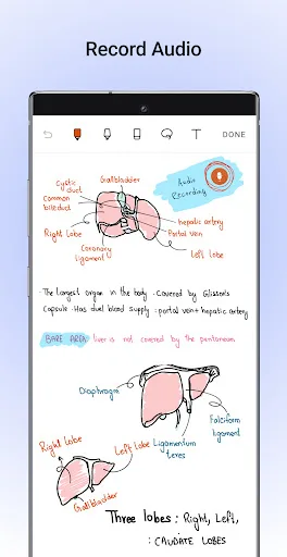 Noteshelf - Notes, Annotations screenshot 4