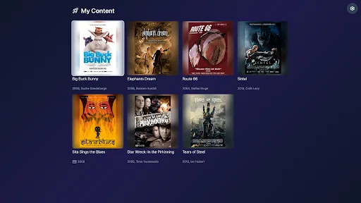 Flux Player screenshot 4