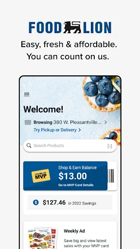 Food Lion screenshot 1
