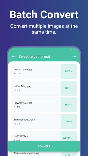 Image Converter - PixConverter screenshot 2